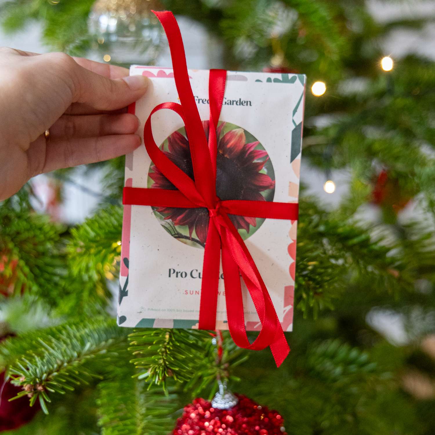 Graines de fleurs pour débutant (8 sachets)